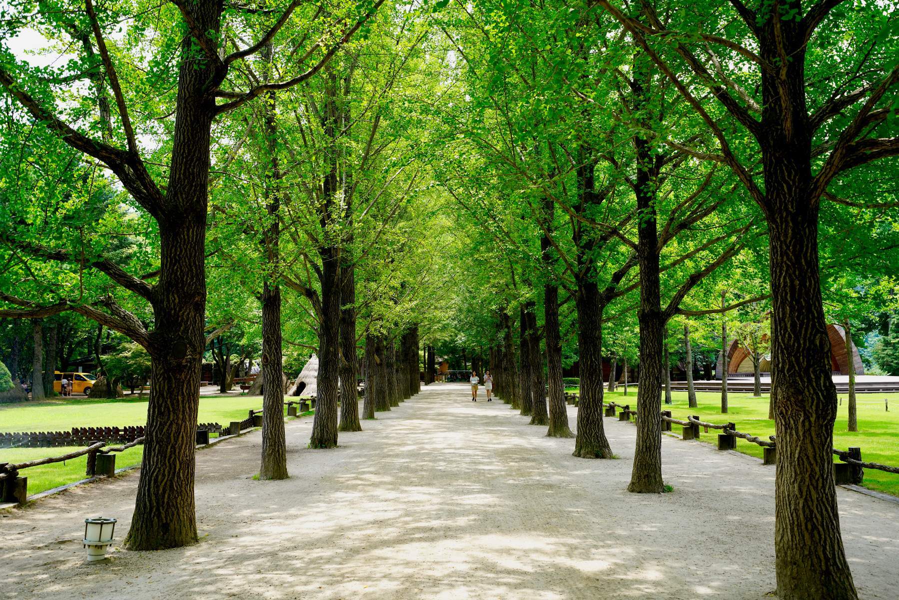 Hàn Quốc (Seoul - Nami - Trượt Tuyết - Hái Trái Cây - Trải Nghiệm Mặc Hanbok & Trải Nghiệm Tắm Hơi Sauna - Jimjipang - Thư Viện Starfield Coex)