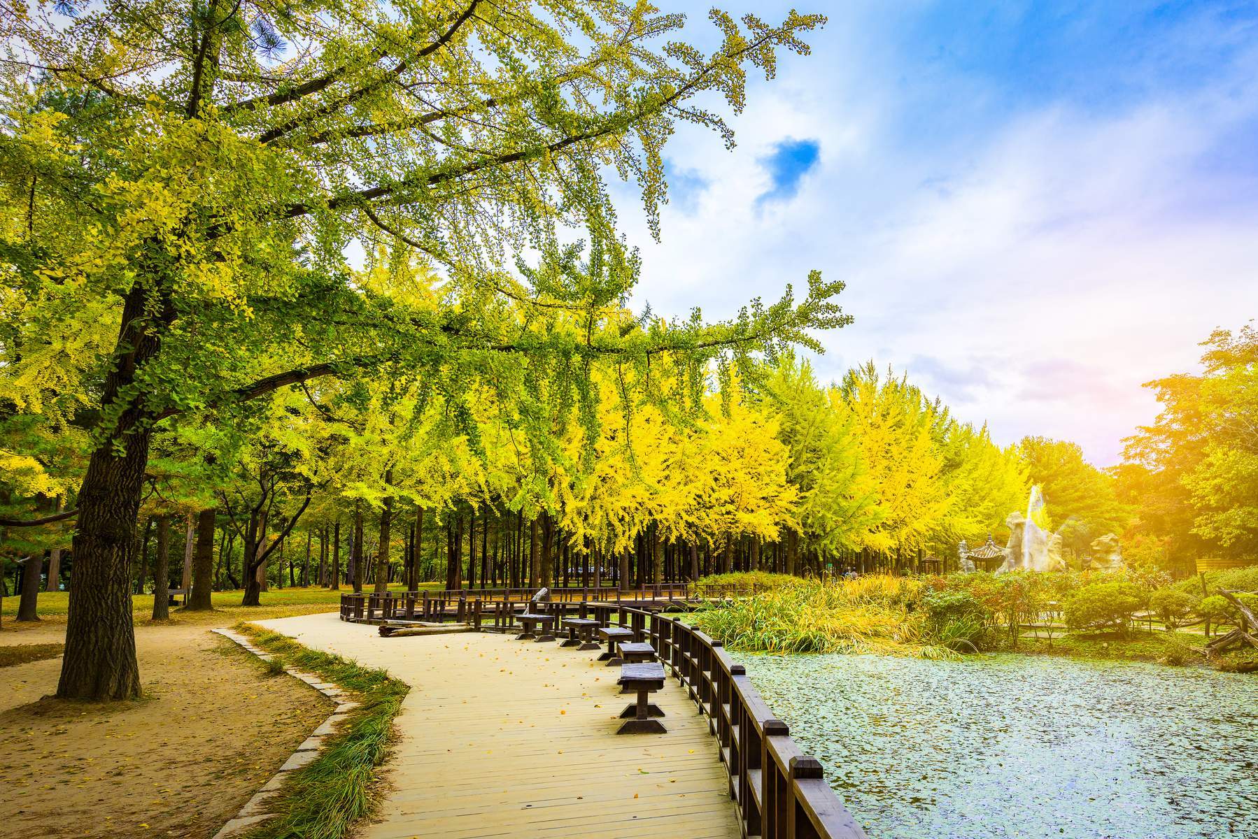 Hàn Quốc (Seoul - Jeju - Ecoland - Nanta Show - Nami - Thư Viện Starfield)
