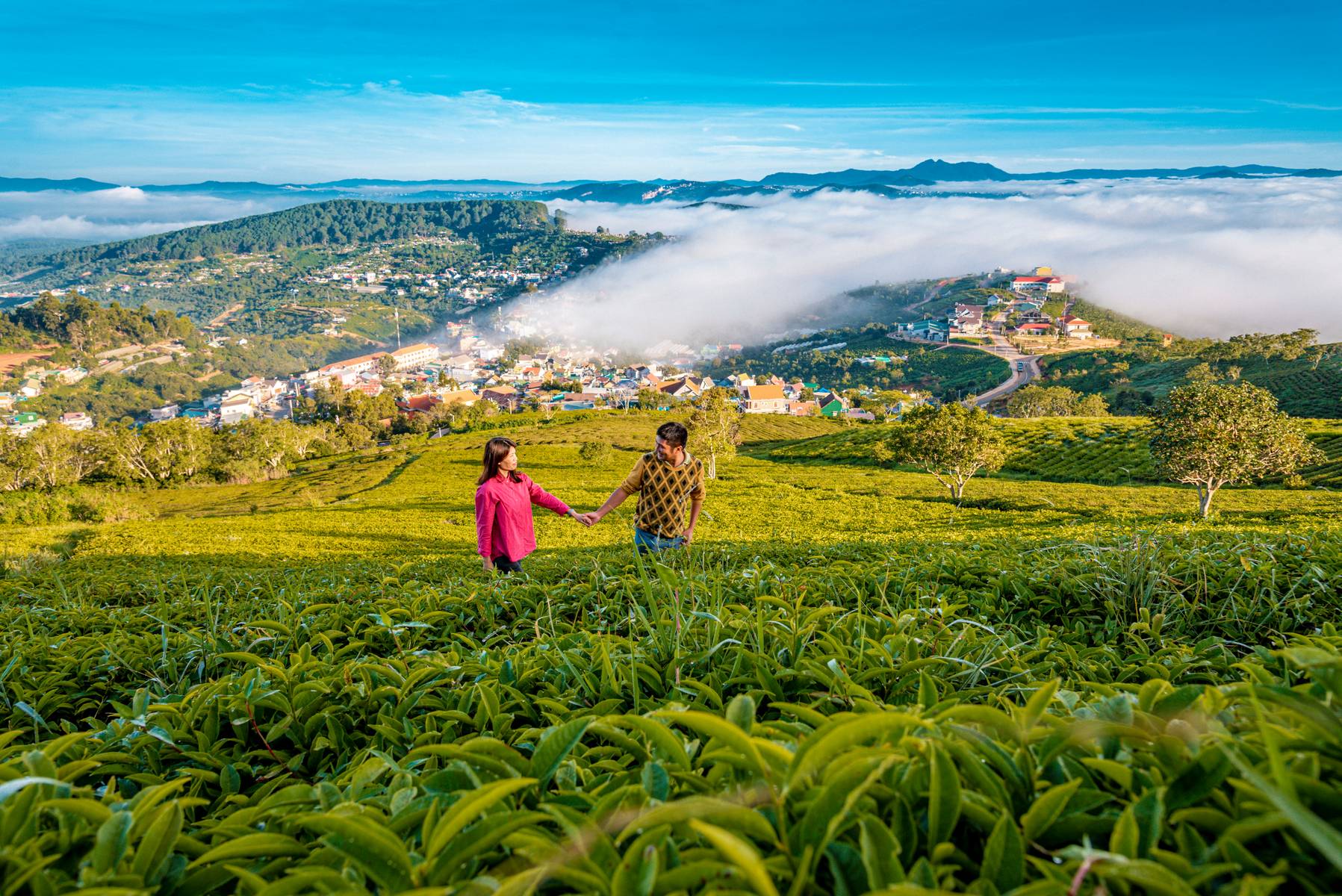 Bảo Lộc Farm – Thác Dambri