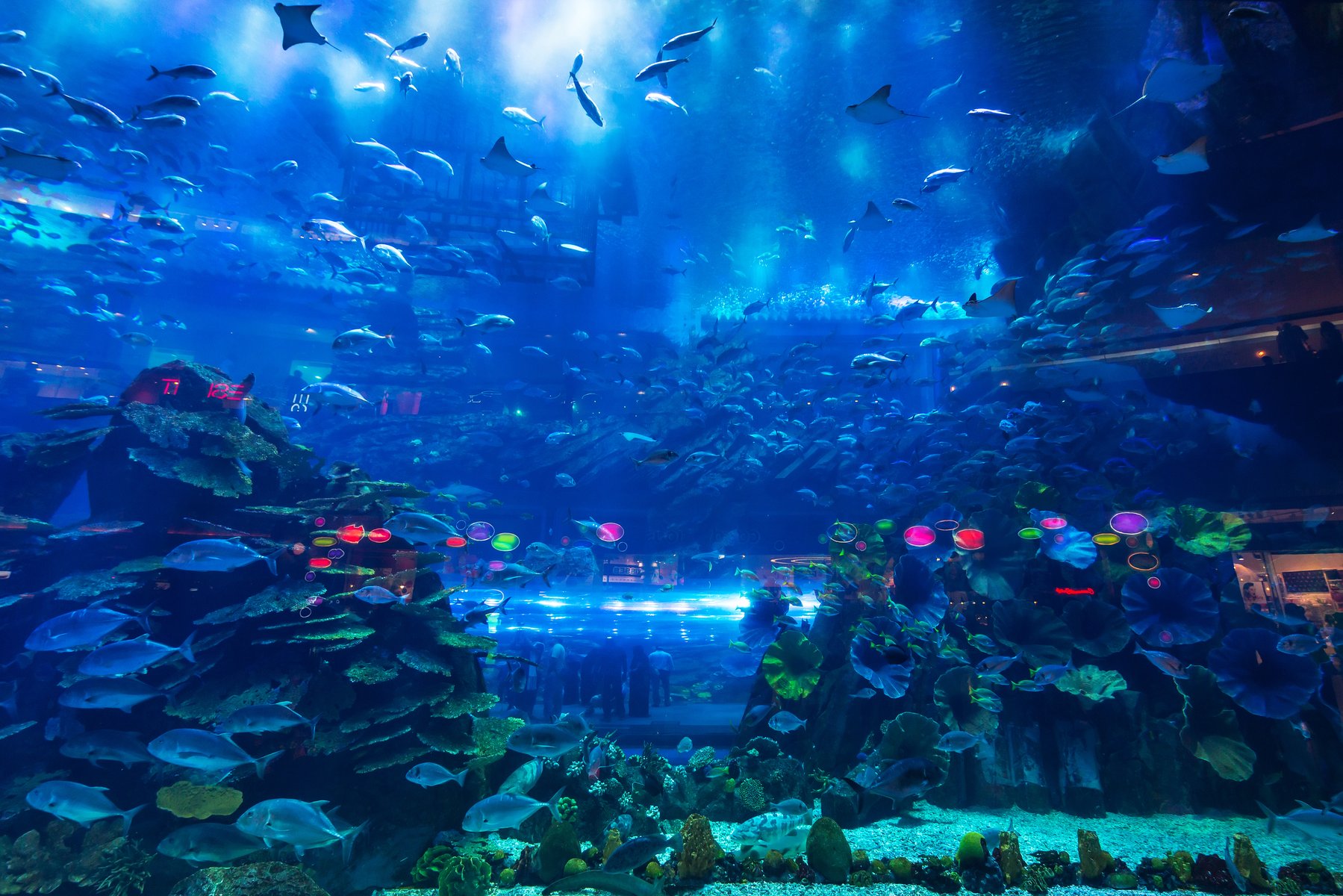 Dubai - Abu Dhabi (Tòa Tháp Burj Khalifa - Sa Mạc Safari - Dubai Aquarium & Underwater Zoo - Dinh Tổng Thống Qasr Al Watan)