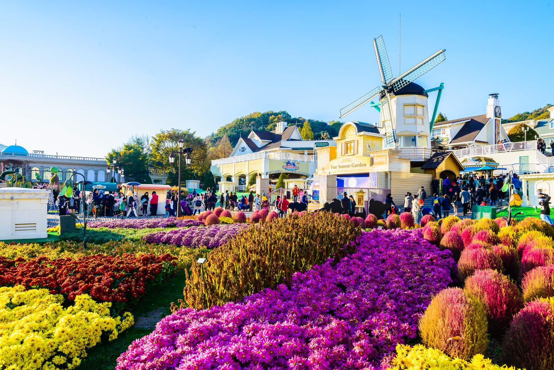 Hàn Quốc (Seoul - Nami - Vườn Morining Calm - Làng Dân Tộc Korean Folk - Công Viên Everland - Painter Hero Show - Thư Viện Starfield)