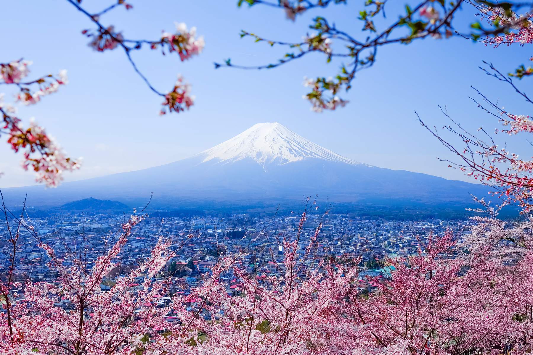 Nhật Bản (Osaka - Kyoto - Núi Phú Sĩ - Hoa Đào Mùa Thu - Tokyo)