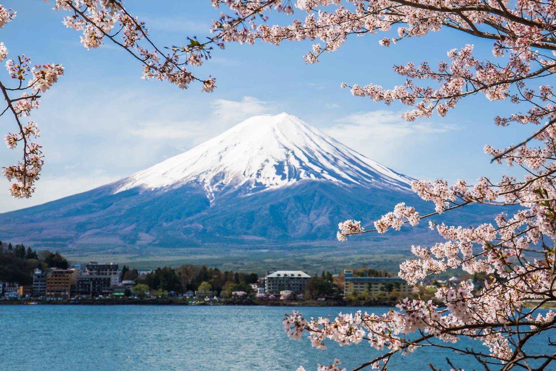 Nhật Bản (Osaka - Kobe - Kyoto - Vườn Trái Cây - Núi Phú Sĩ - Tokyo - Hoa Đào Kawazu)
