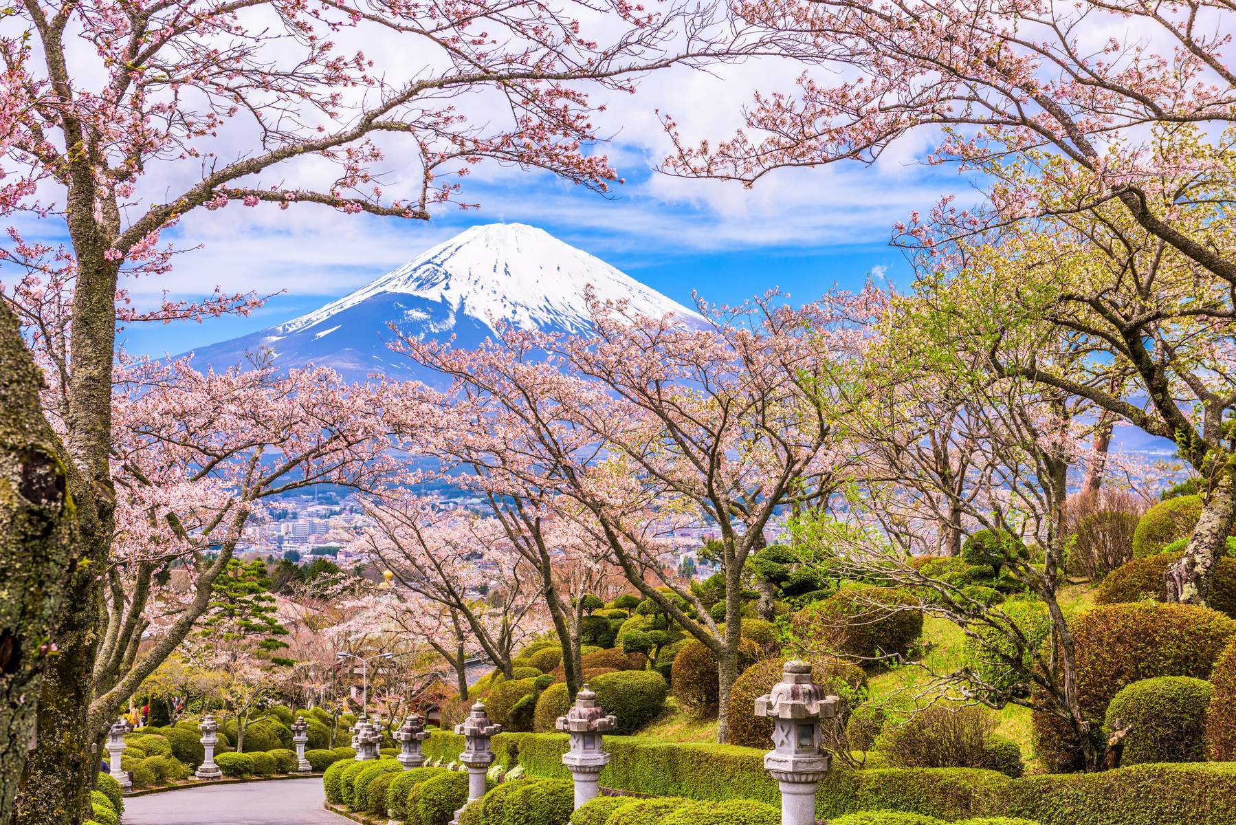 Nhật Bản (Osaka - Kyoto - Núi Phú Sĩ - Vườn Trái Cây - Tokyo)