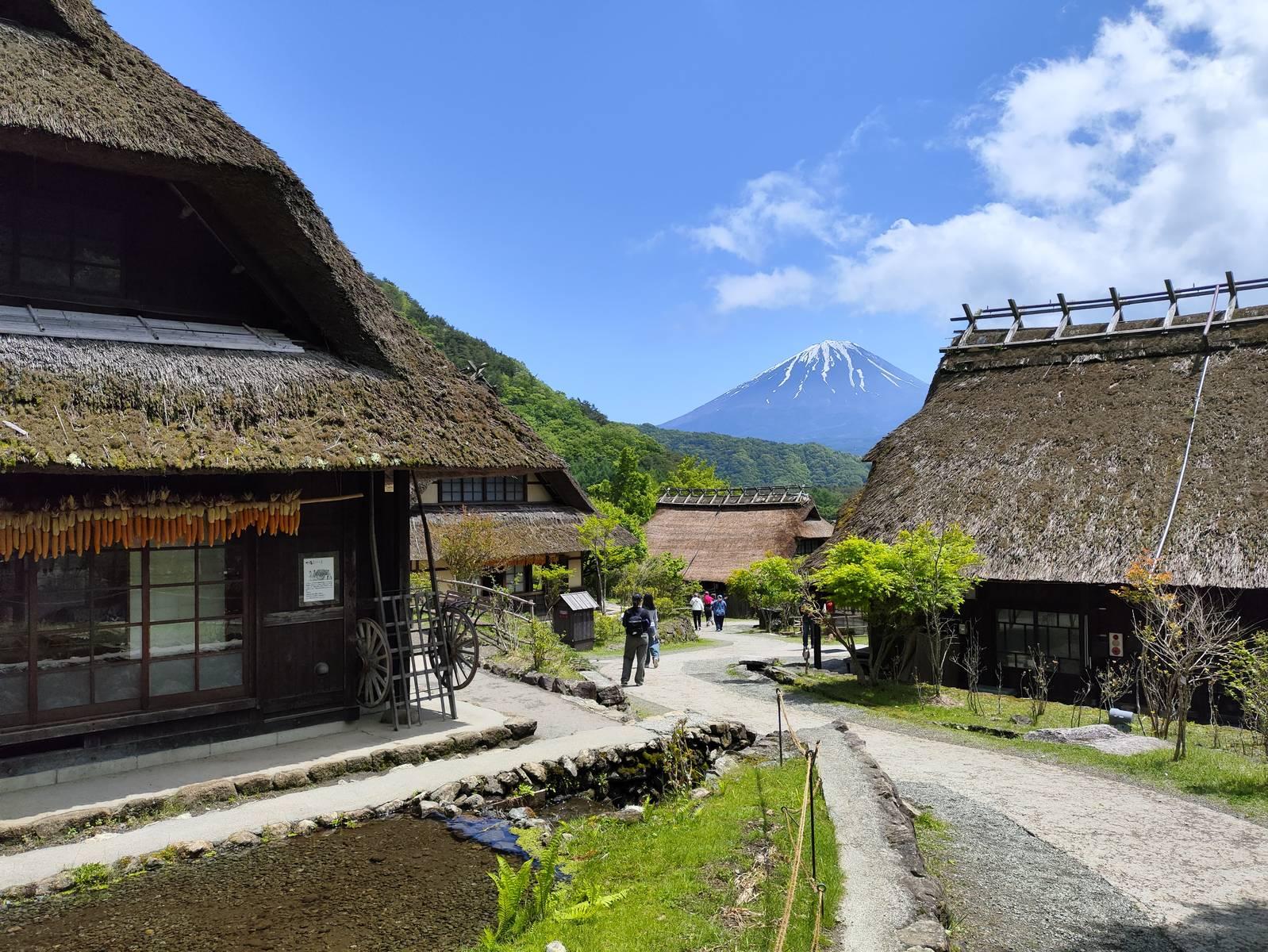 Nhật Bản (Tokyo - Núi Phú Sỹ - Vườn Trái Cây - Kyoto - Osaka)