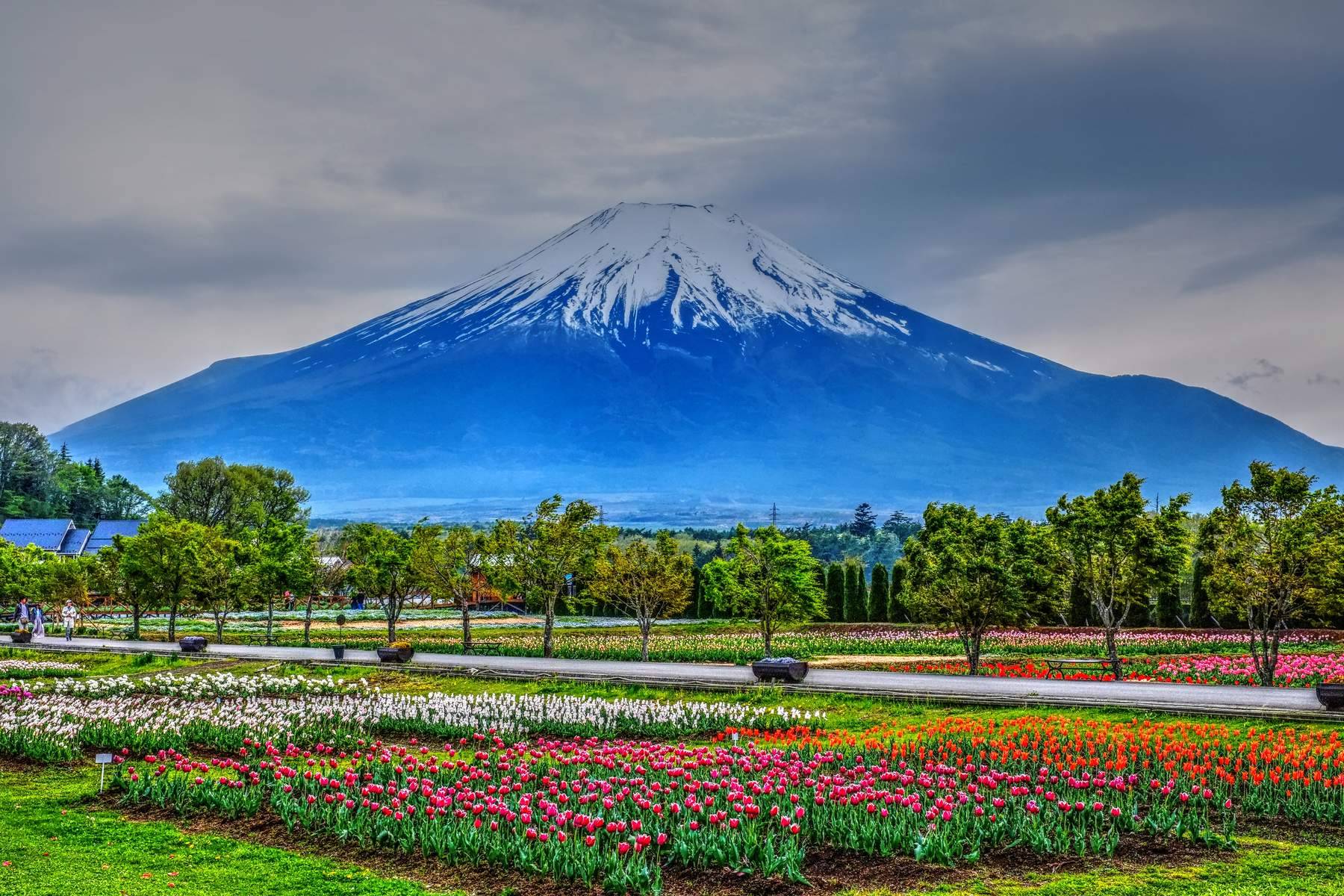 Nhật Bản (Osaka - Kyoto - Núi Phú Sĩ - Tokyo)