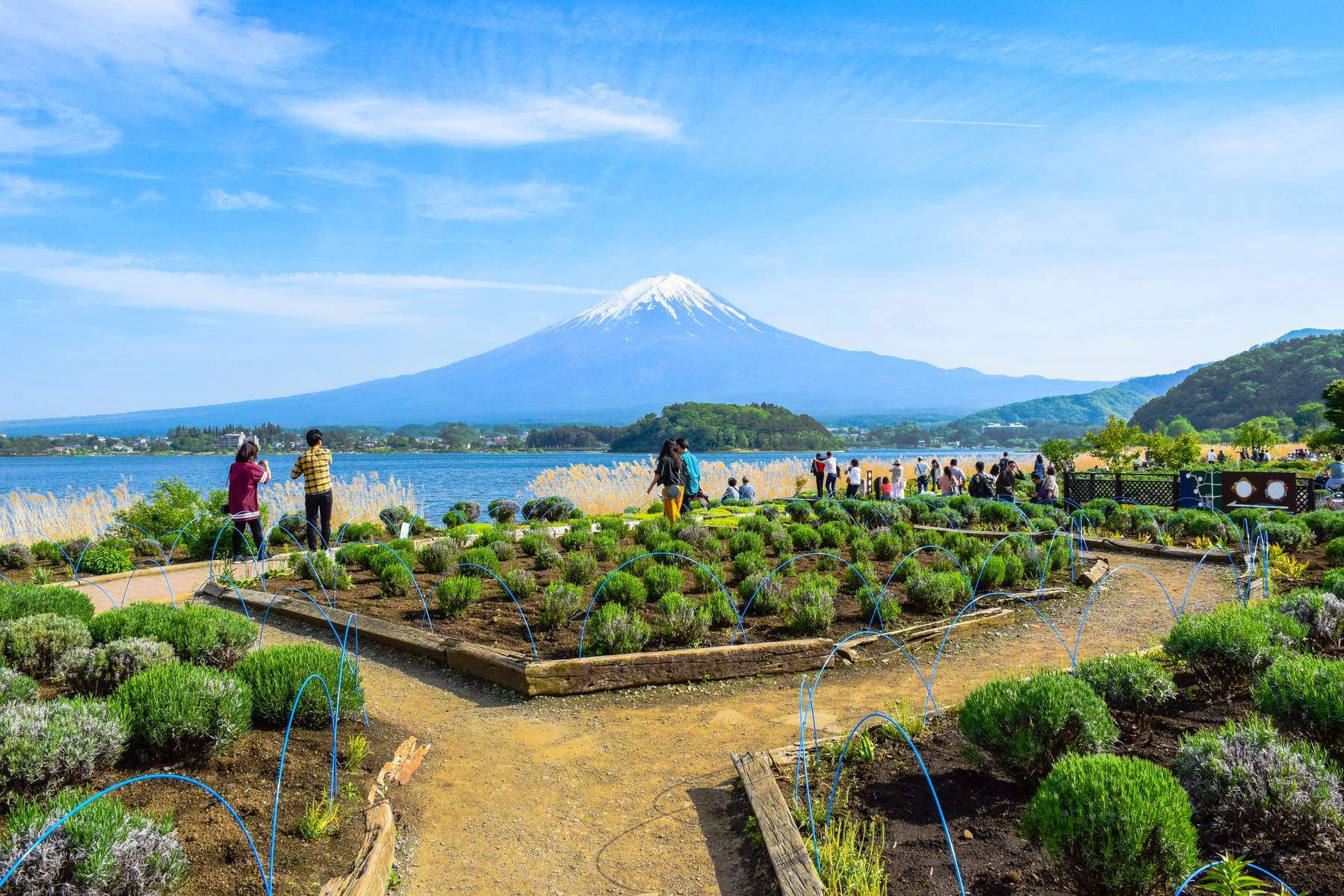 Nhật Bản (Tokyo - Núi Phú Sỹ - Kyoto - Osaka)