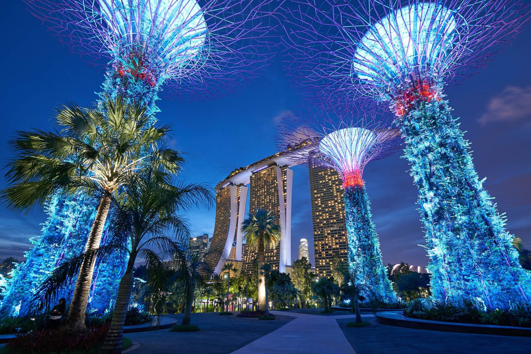 Singapore (Gardens By The Bay - 01 Ngày Tự Do - Flower Dome - Cloud Forest)