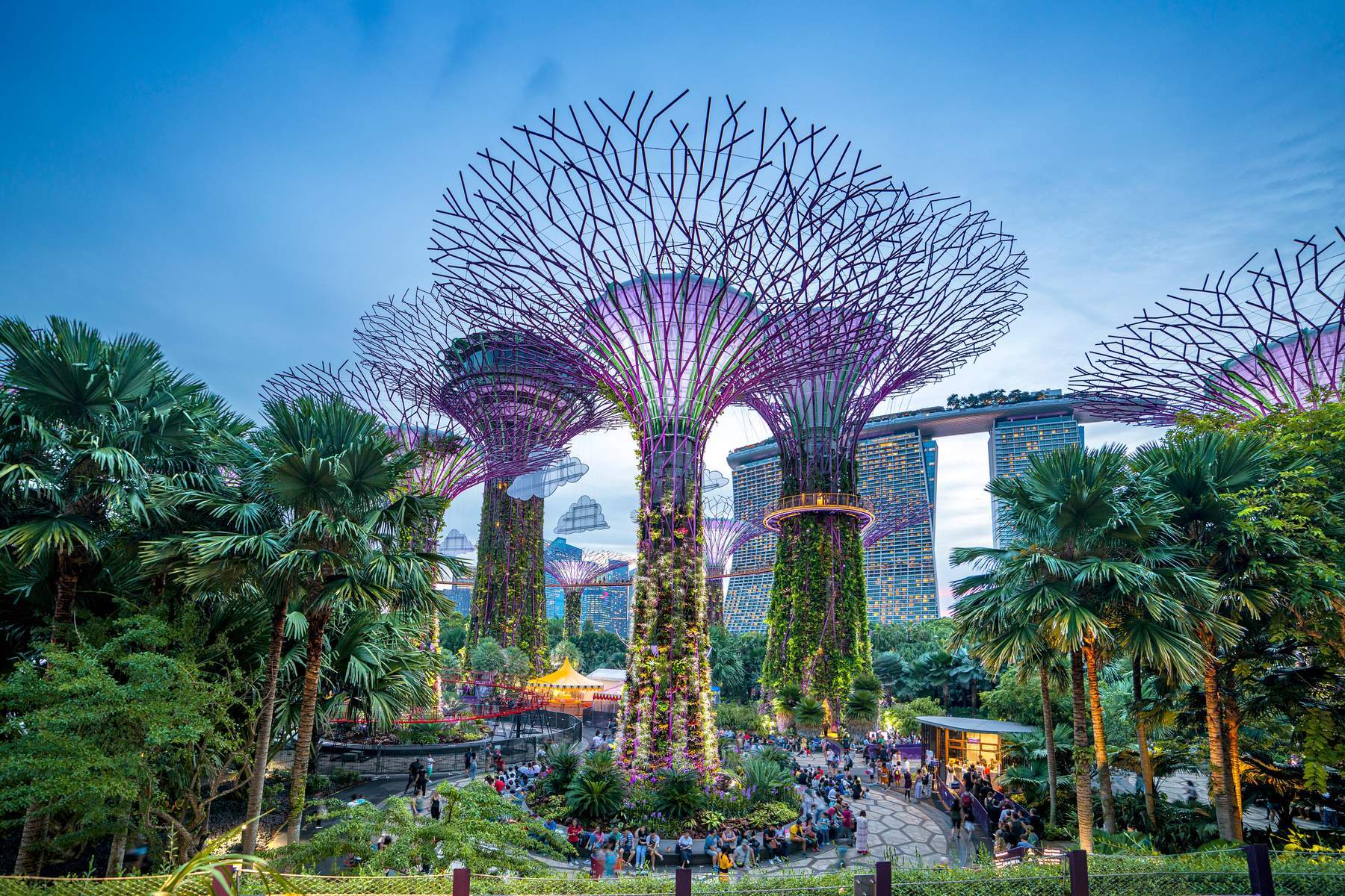 Singapore (Gardens By The Bay - Wings Of Time - Flower Dome - Cloud Forest - Universal Studios)