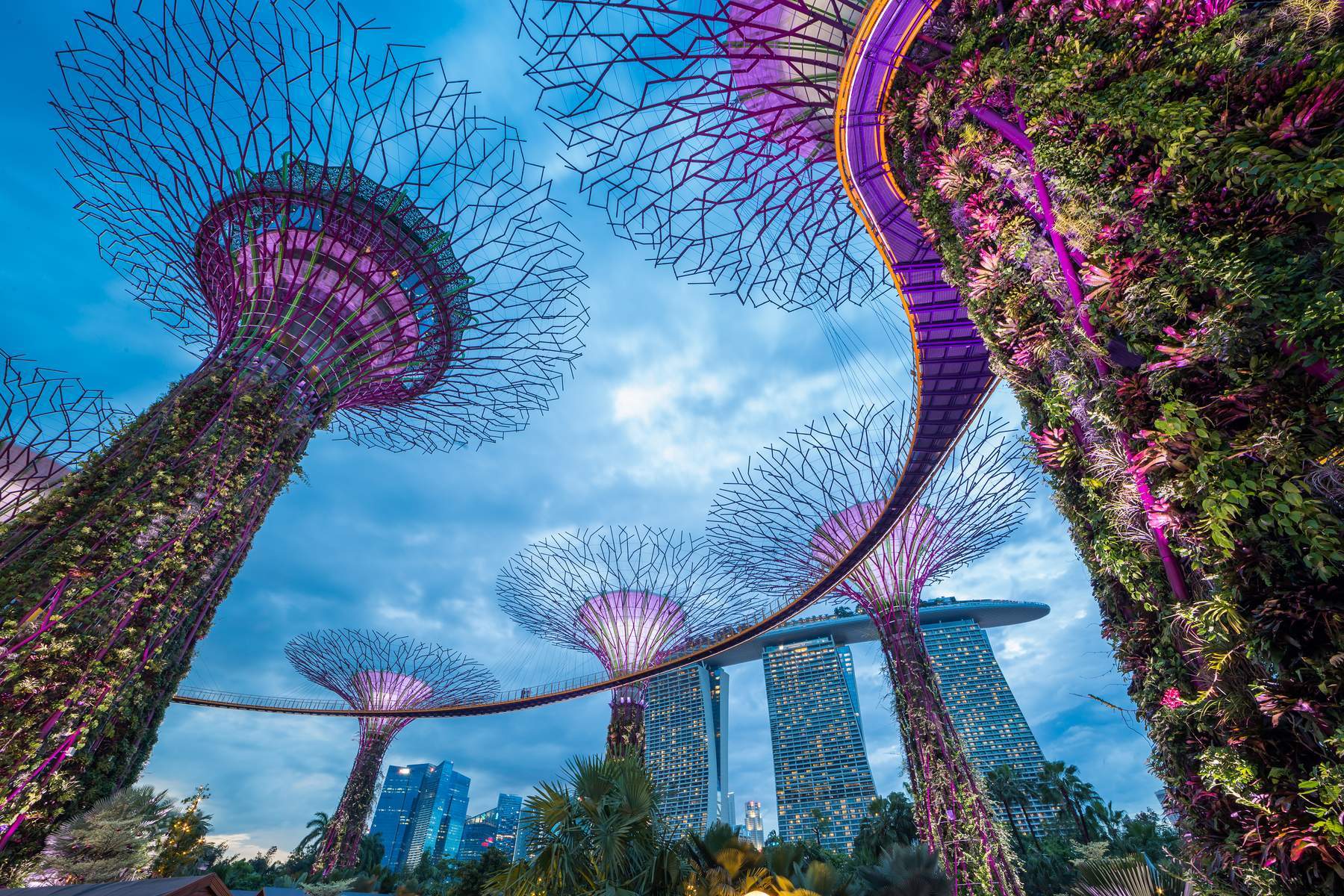 Singapore (Gardens By The Bay - Wings Of Time - Flower Dome - Cloud Forest - Universal Studios)