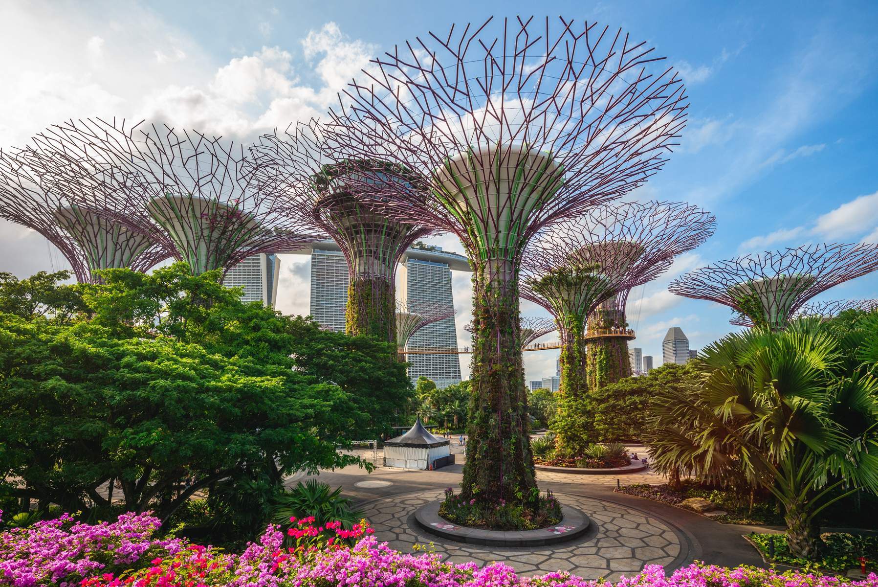 Singapore (Gardens By The Bay - 01 Ngày Tự Do - Flower Dome - Cloud Forest)
