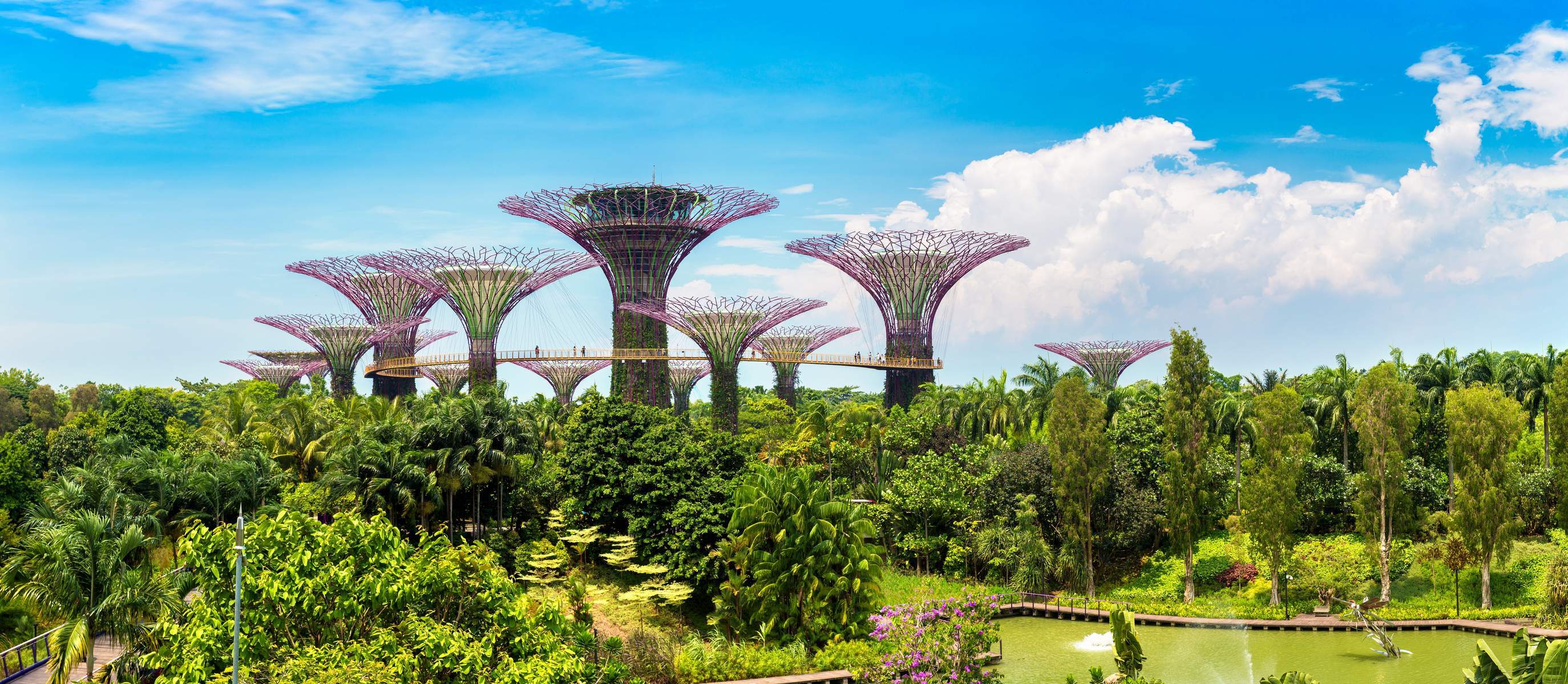 Singapore (Gardens By The Bay - 01 Ngày Tự Do - Flower Dome - Cloud Forest)