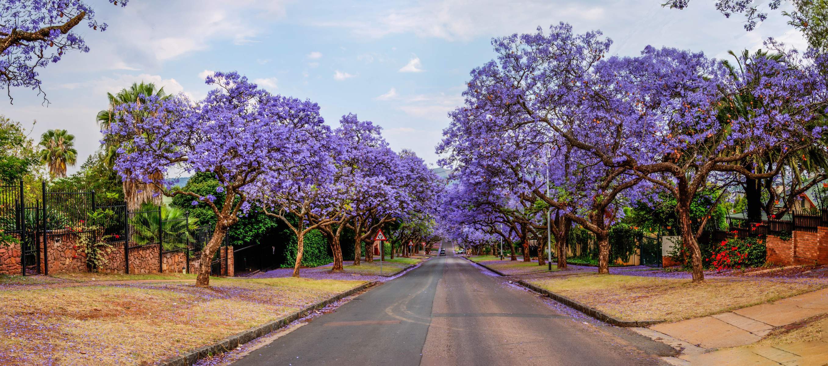Nam Phi (Johannesburg - Pilanesburg – Pretoria - Cape Town)