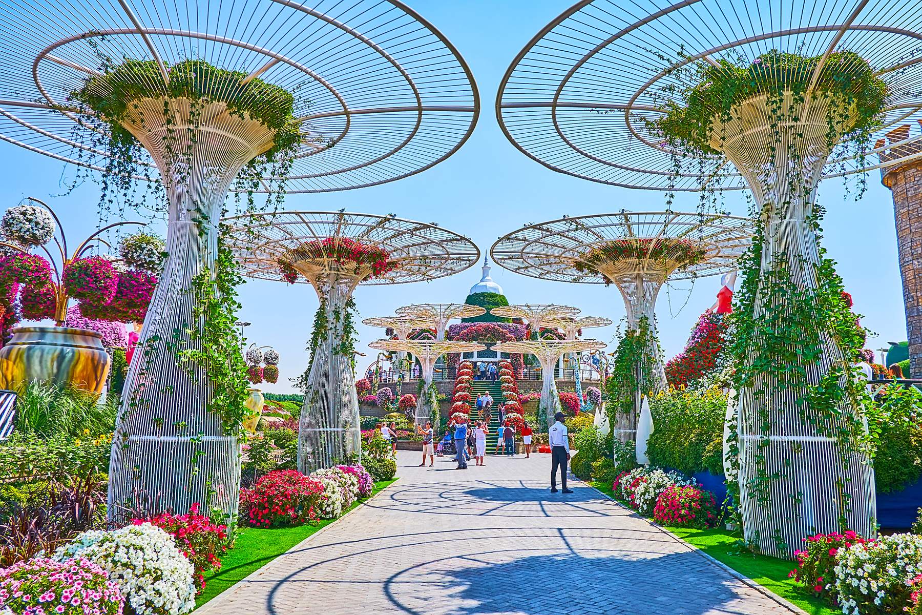 Dubai - Abu Dhabi (Xứ Sở Lạc Đà)