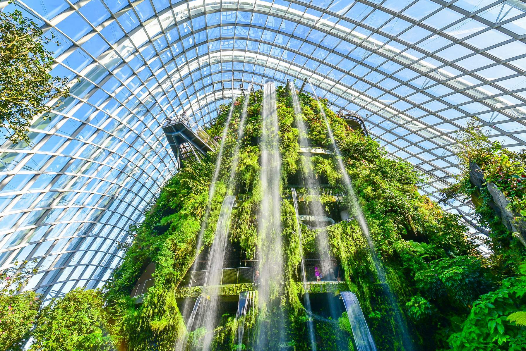 Singapore (Gardens By The Bay - 01 Ngày Tự Do - Flower Dome - Cloud Forest)