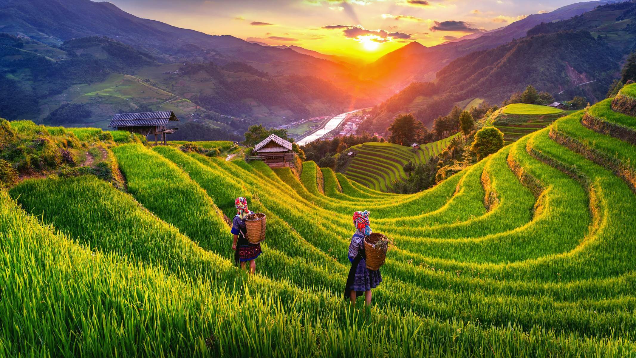 Hà Nội – Tú Lệ – Mù Cang Chải