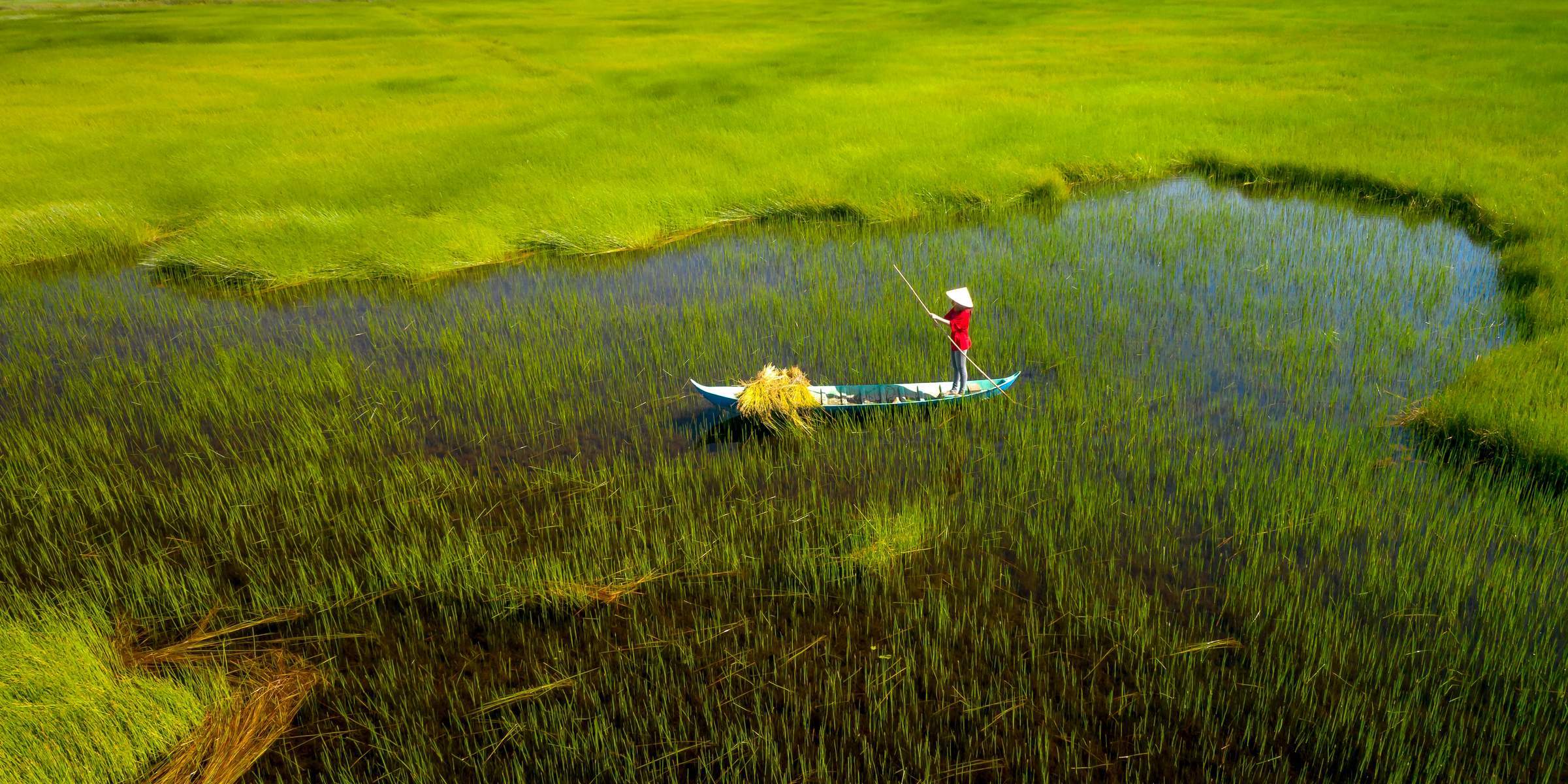 Bến Tre - Trà Vinh - Vĩnh Long - Đồng Tháp - Tiền Giang