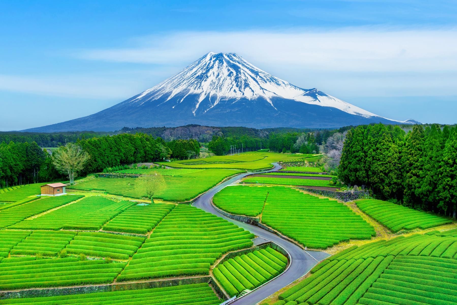Nhật Bản (Tokyo - Núi Phú Sĩ - Nagoya - Kyoto - Osaka)