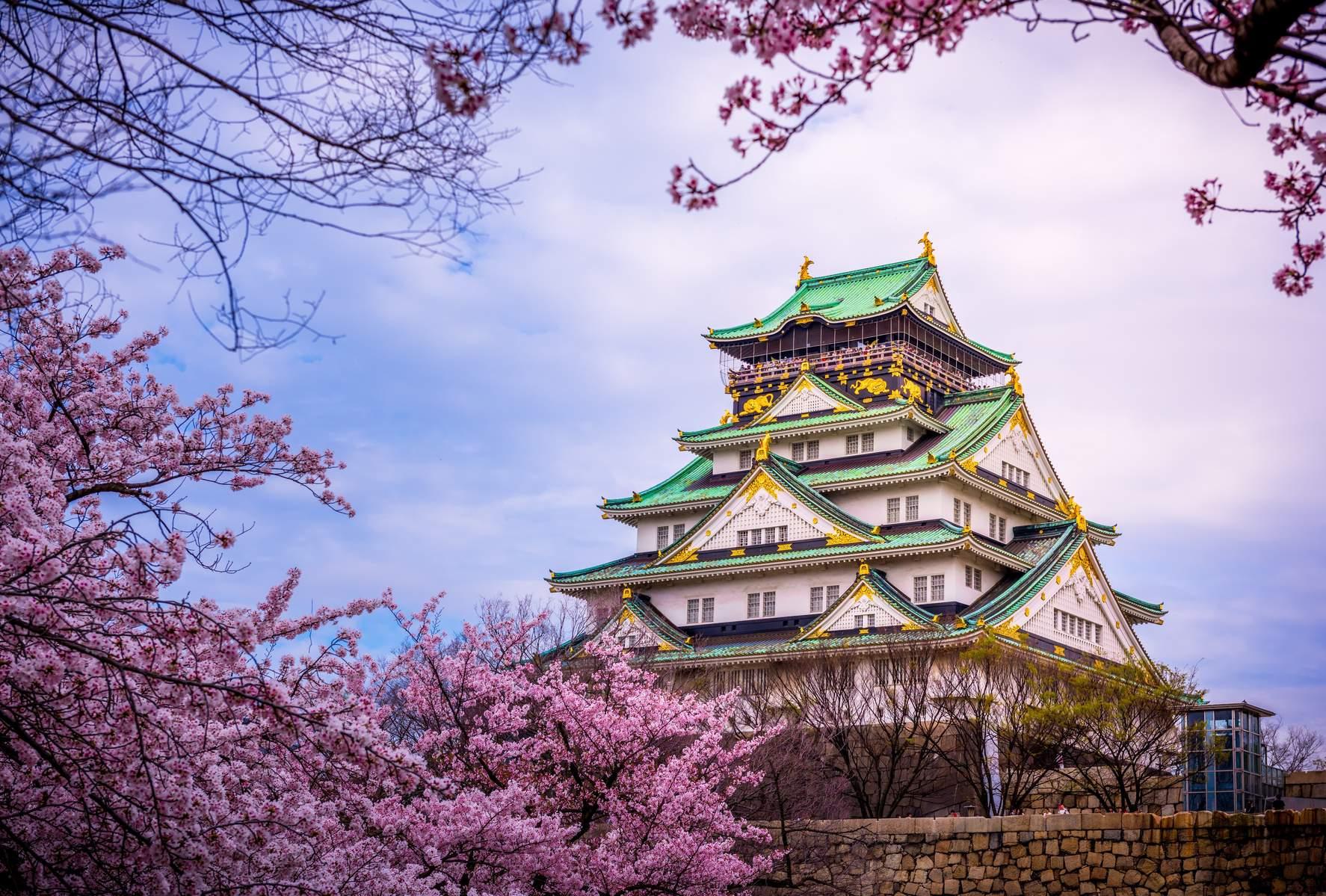 Nhật Bản (Tokyo - Núi Phú Sĩ - Vườn Trái Cây - Kyoto - Osaka)
