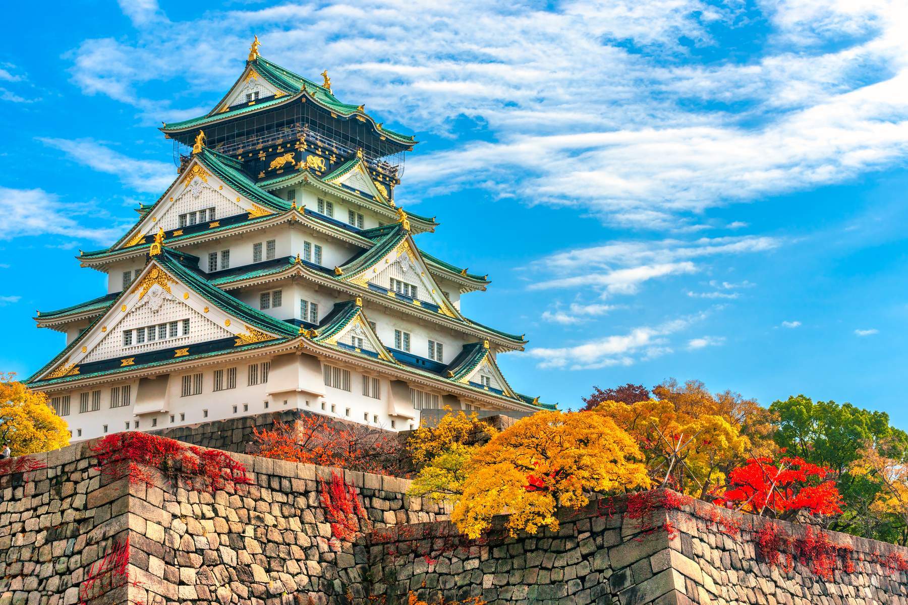 Nhật Bản (Osaka - Kobe - Kyoto - Núi Phú Sỹ - Vườn Trái Cây - Tokyo)