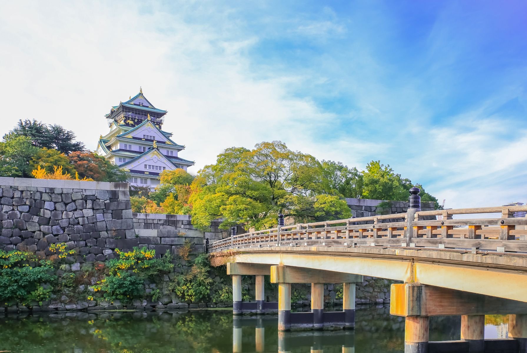 Nhật Bản (Osaka - Nara - Kyoto - Núi Phú Sỹ - Vườn Trái Cây - Tokyo)