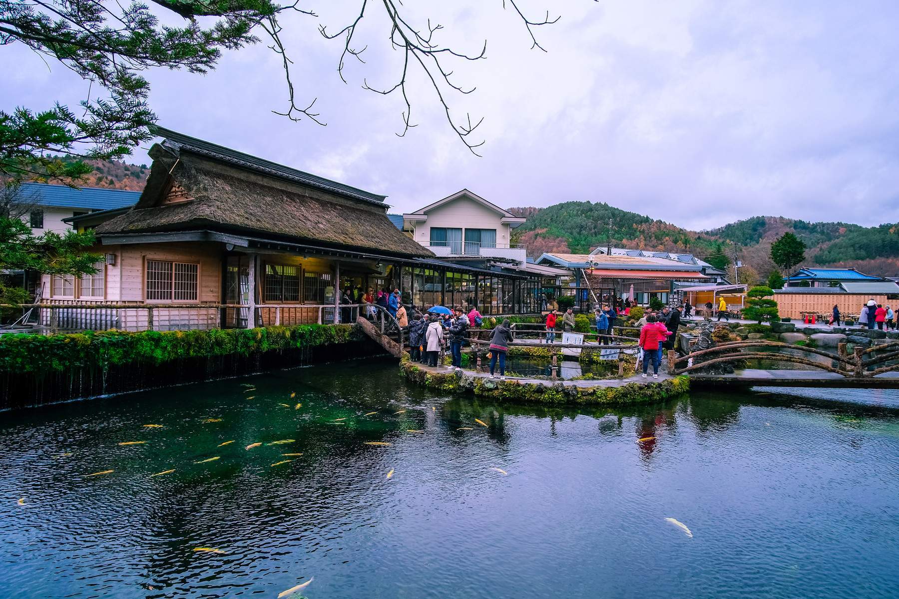 Nhật Bản (Osaka - Kyoto - Núi Phú Sỹ - Vườn Trái Cây - Tokyo - Disneyland)