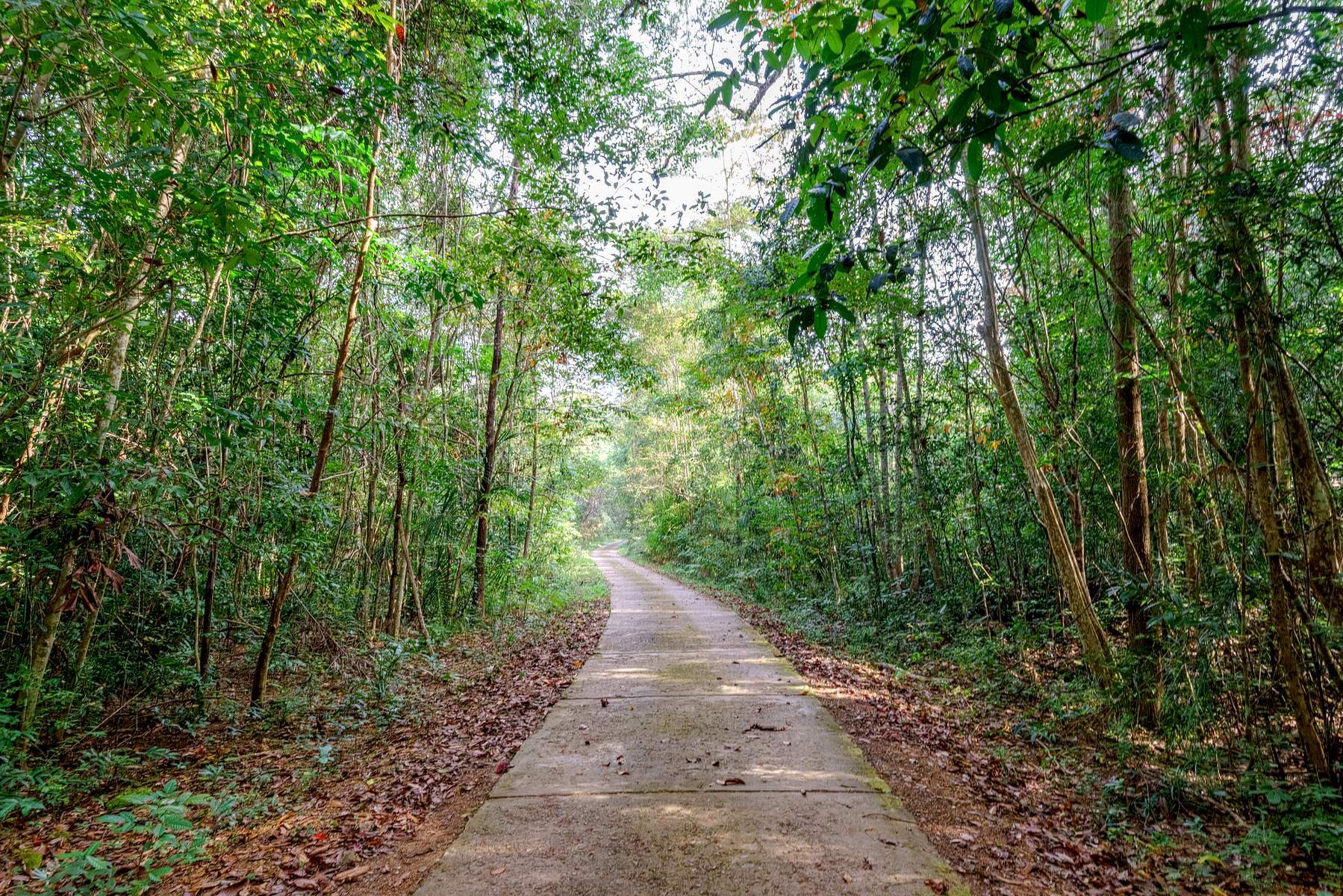Nam Cát Tiên - Alagon Ecolodge