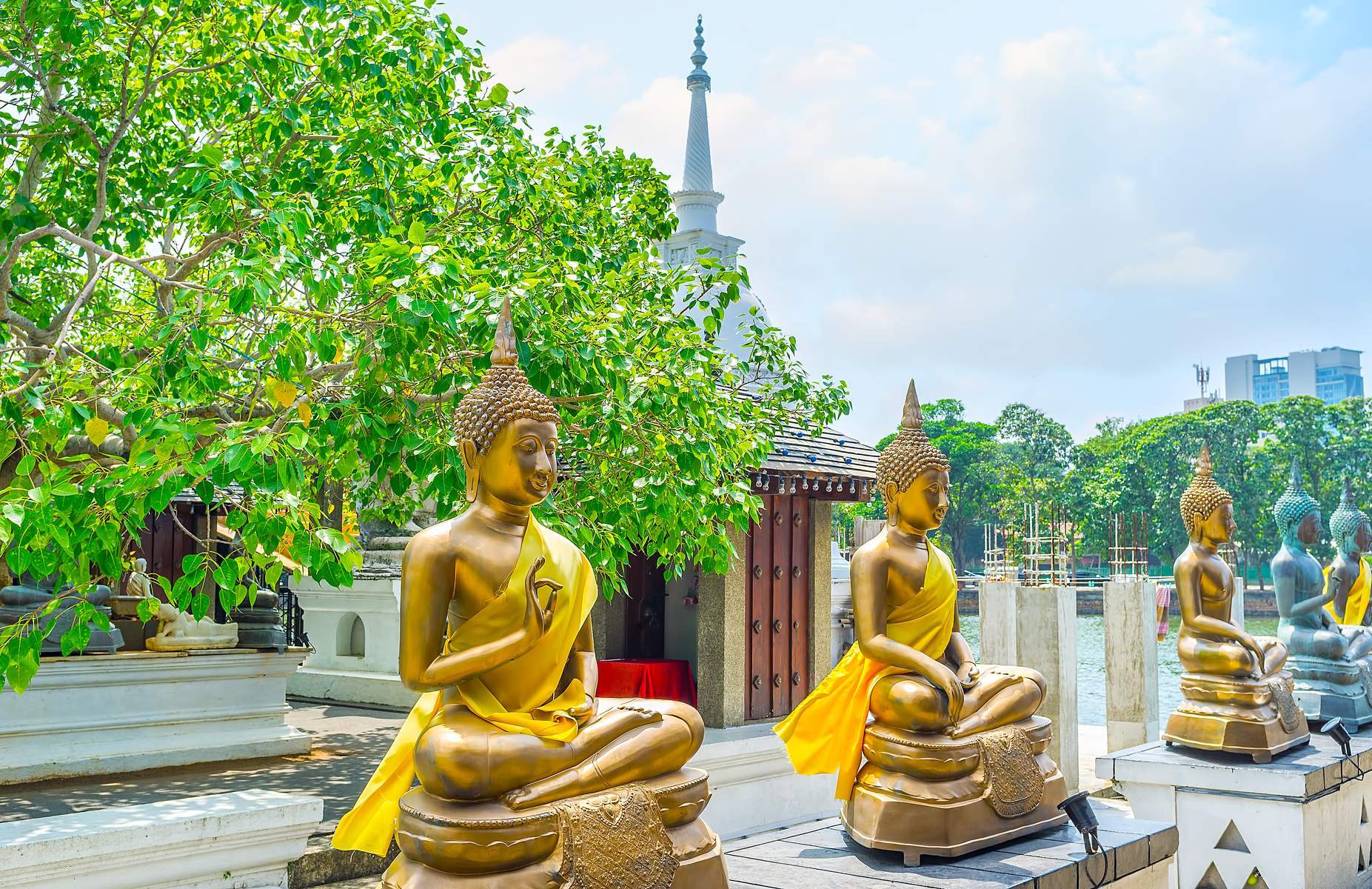 Sri Lanka (Negombo - Sigiriya - Dambulla - Kandy - Colombo)
