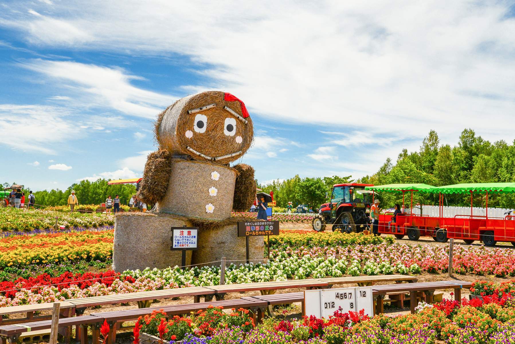 Nhật Bản (Osaka - Sapporo - Otaru - Furano - Tokyo - Hokkaido)