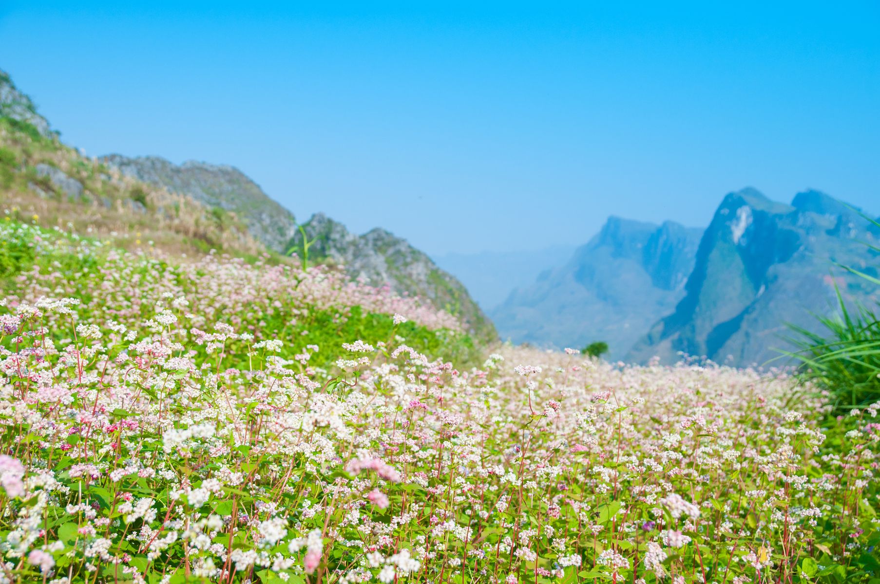 Hà Giang – Đồng Văn – Sông Nho Quế – Pác Bó – Bản Giốc – Ba Bể