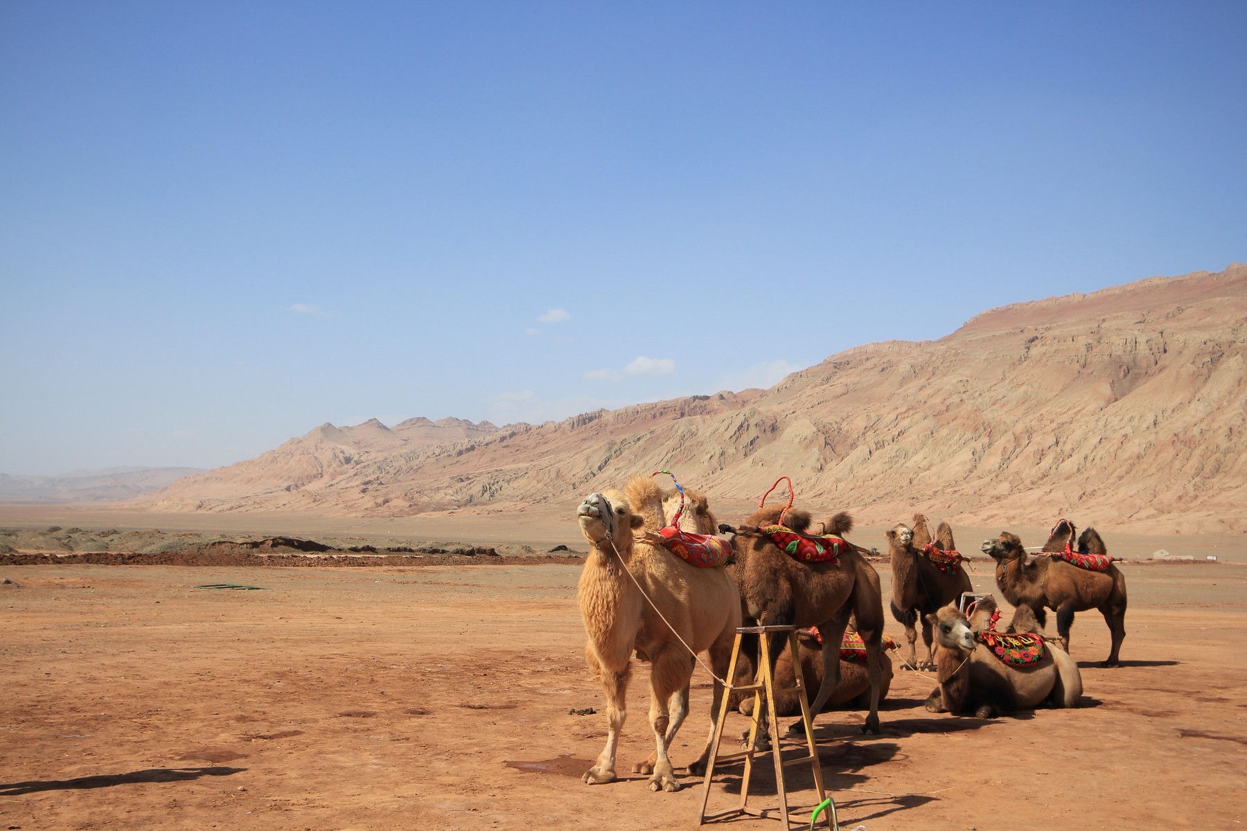 Ấn Độ (Ladakh Delhi – Ladakh)