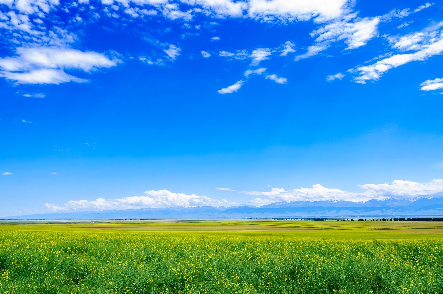 Tân Cương (Urumqi - Khuê Đồn - Y Ninh - Tekes - Thảo Nguyên Nalati - Urumqi)