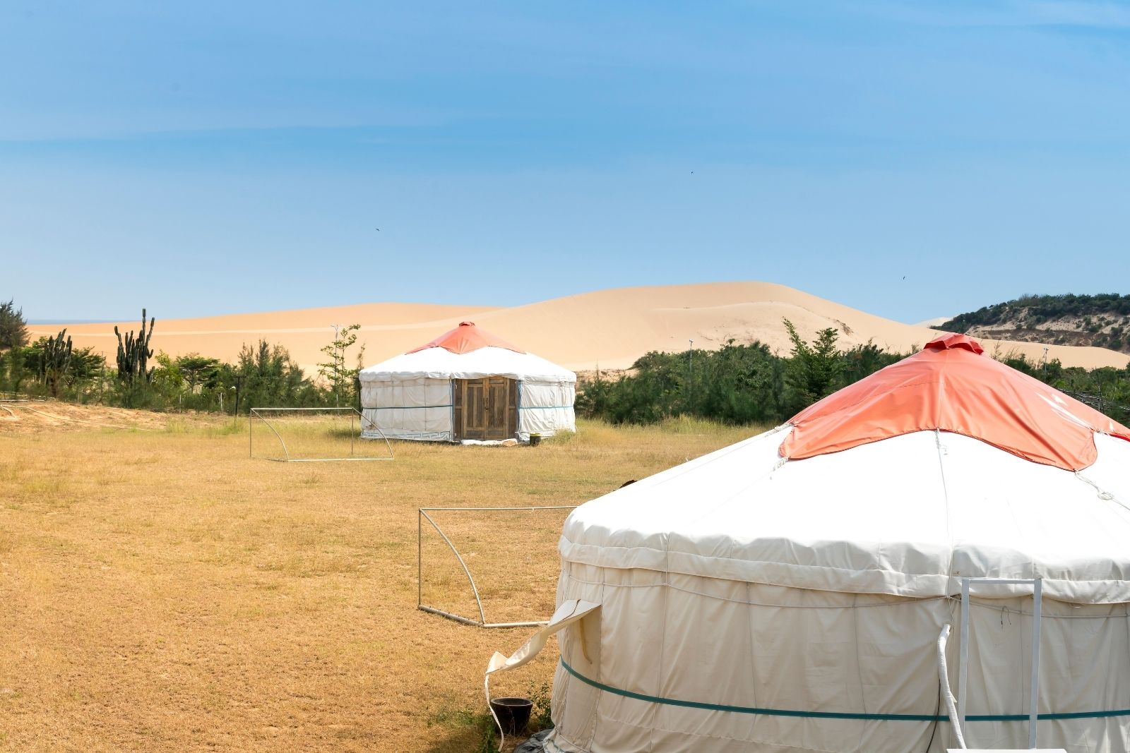 Queen Farm - Trường Dục Thanh - Trùng Sơn Cổ Tự - Thiền Viện Trúc Lâm Viên Ngộ - Vịnh Vĩnh Hy – Hang Rái - Vườn Nho – Tanyoli Mông Cổ