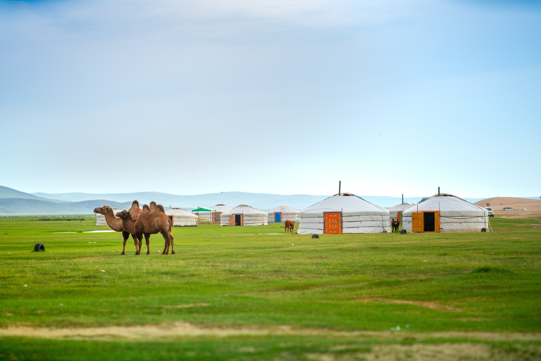 Mông Cổ - Nga (Ulaanbaatar - Irkutsk - Listvyanka - Hồ Baikal - Công Viên Quốc Gia Terelj)