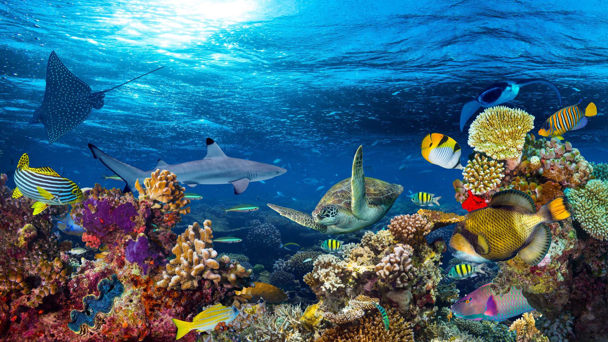 Thái Lan (Bangkok - Pattaya - Đảo San Hô Coral - Vườn Nong Nooch - Safari - Buffet Du Thuyền Trên Sông Chaopraya)