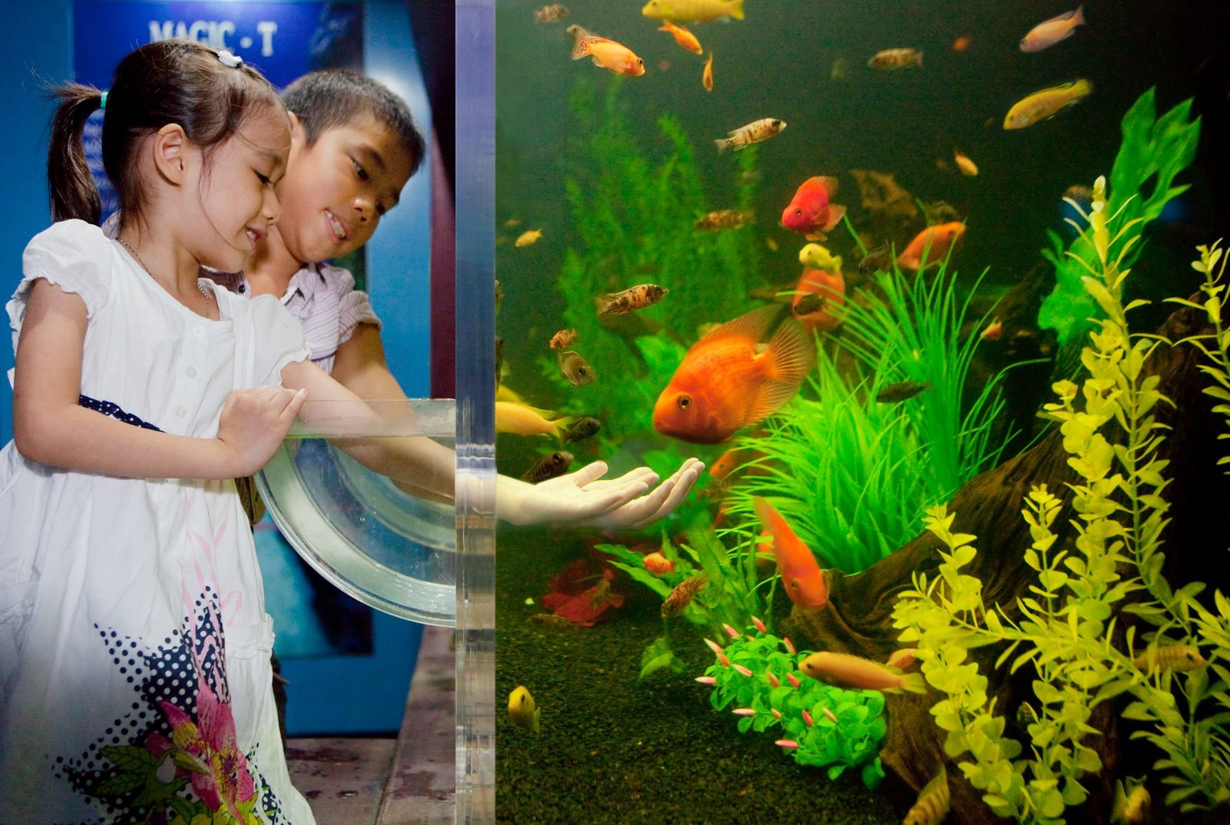 Thái Lan (Bangkok - Bansaen - Pattaya - Cầu Vượt Biển - Thủy Cung - Bảo Tàng Nghệ Thuật - Dạo Thuyền Sông Chaophraya)
