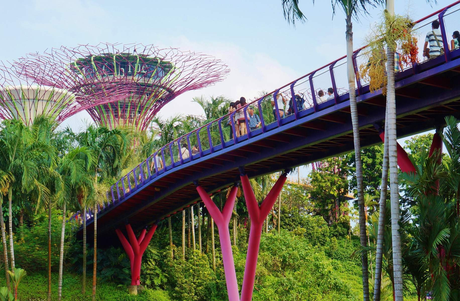 Singapore (Gardens By The Bay - 01 Ngày Tự Do - Flower Dome - Cloud Forest)