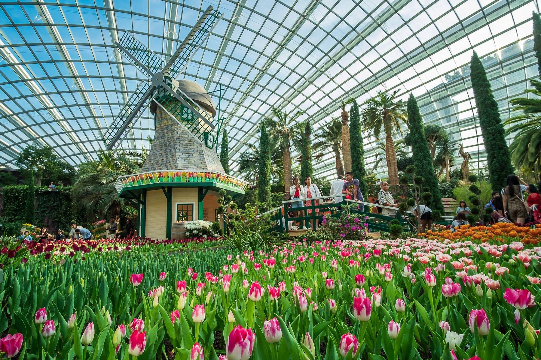 Malaysia - Singapore (Kualalumpur - Cao Nguyên Genting - Malacca Gardens By The Bay - Flower Dome - Cloud Forest - Oceanarium Singapore - Wings Of Time)