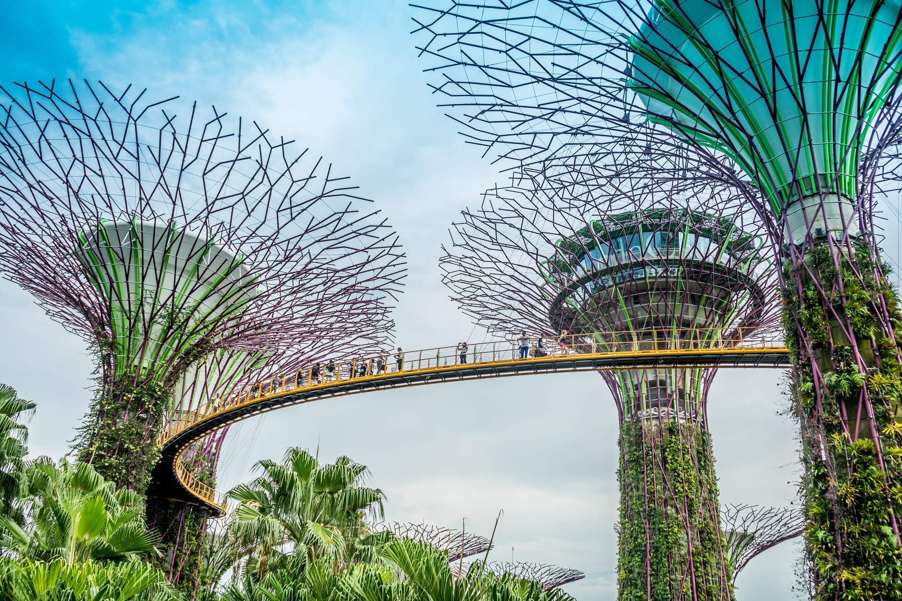 Singapore (Gardens By The Bay - Wings Of Time - Flower Dome - Cloud Forest - Universal Studios)