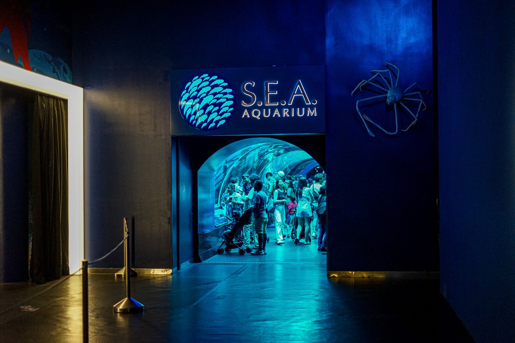Singapore (Gardens By The Bay - Wings Of Time - Flower Dome - Cloud Forest - Oceanarium - Singapore Zoo)