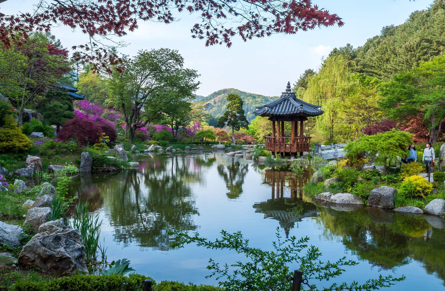 Hàn Quốc (Seoul - Nami - Vườn Morning Calm - Hikr Ground - Làng Dân Tộc Korean Folk - Painters Hero Show - Thư Viện Starfield)