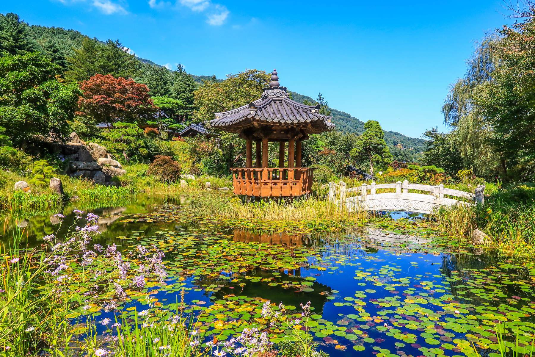 Hàn Quốc (Seoul - Nami - Vườn Morning Calm -Làng Dân Tộc Korean Folk - Lotte World - Painter Hero Show - Thư Viện Starfield)