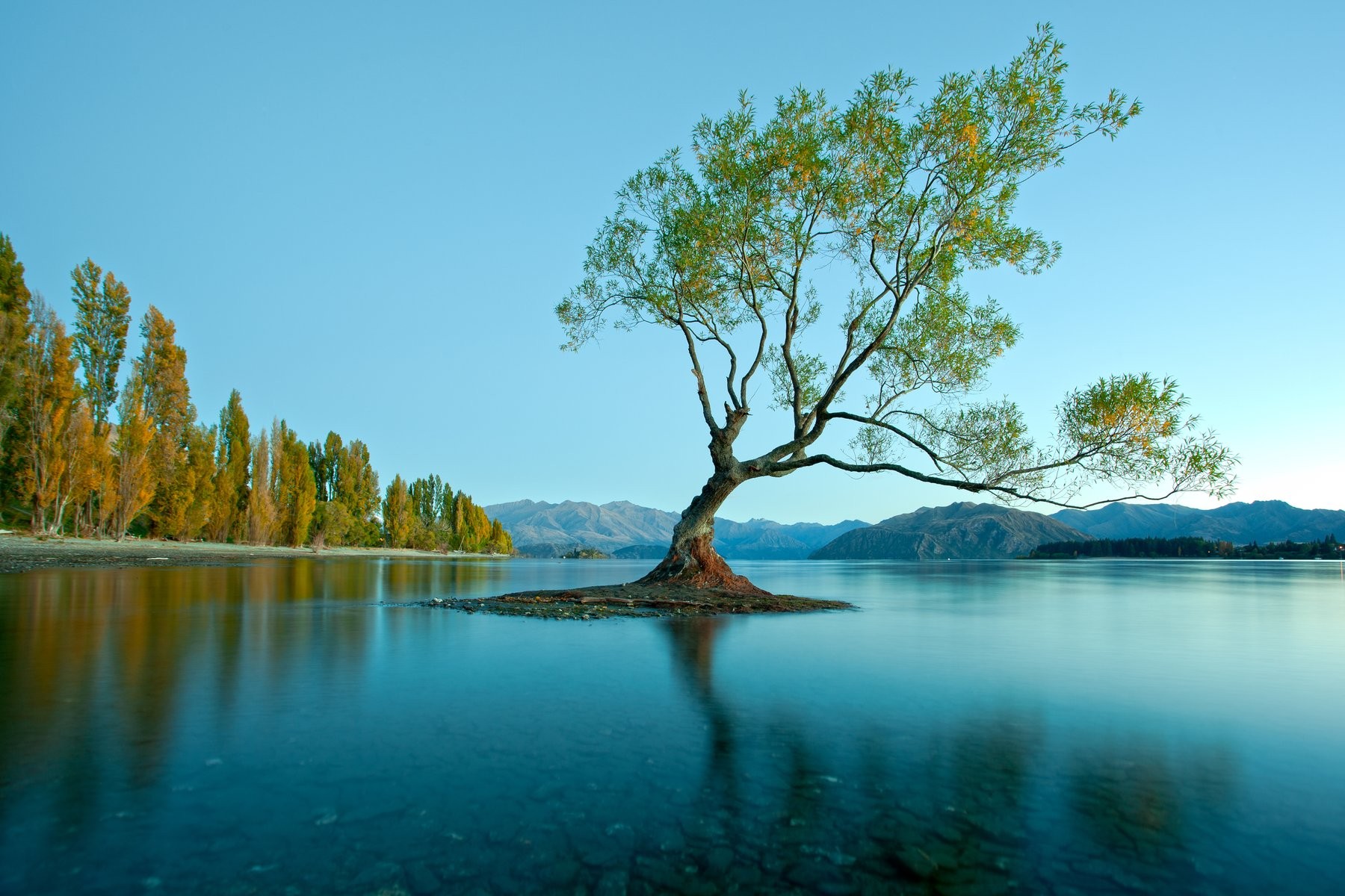 New Zealand (Christchurch - Tekapo - Wanaka - Queenstown Milford Sound - Auckland - Waitomo - Rotorua)