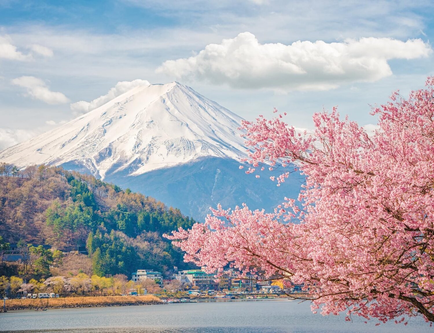 NHẬT BẢN - Thưởng Ngoạn Hoa Anh Đào (Osaka - Kyoto - Núi Phú Sỹ - Tokyo)