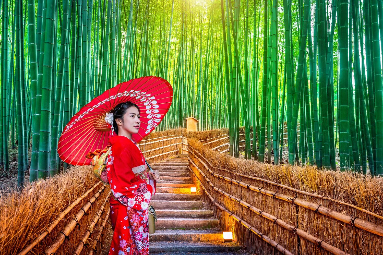 DU LỊCH NHẬT BẢN [NARA - OSAKA –KYOTO - FUJI – TOKYO- VỊNH ODAIBA] ANH ĐÀO 2026