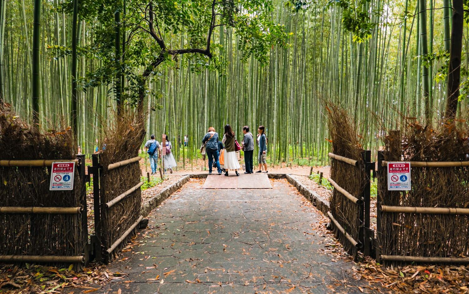 Du Lịch Nhật Bản [Nara - Osaka –Kyoto - Fuji – Ashikaga - Tokyo] Chiêm Ngưỡng Lễ Hội Hoa Chi Anh Và Hoa Tử Đằng