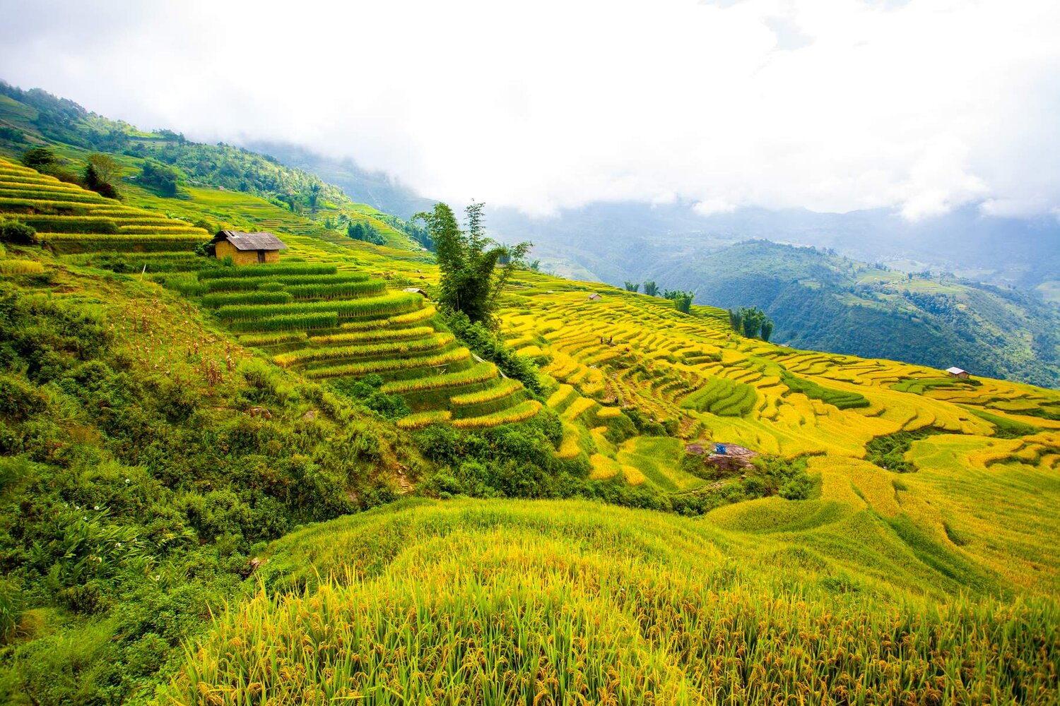 Hòa Bình - Mộc Châu - Điện Biên - Lai Châu - Fansipan - Sapa