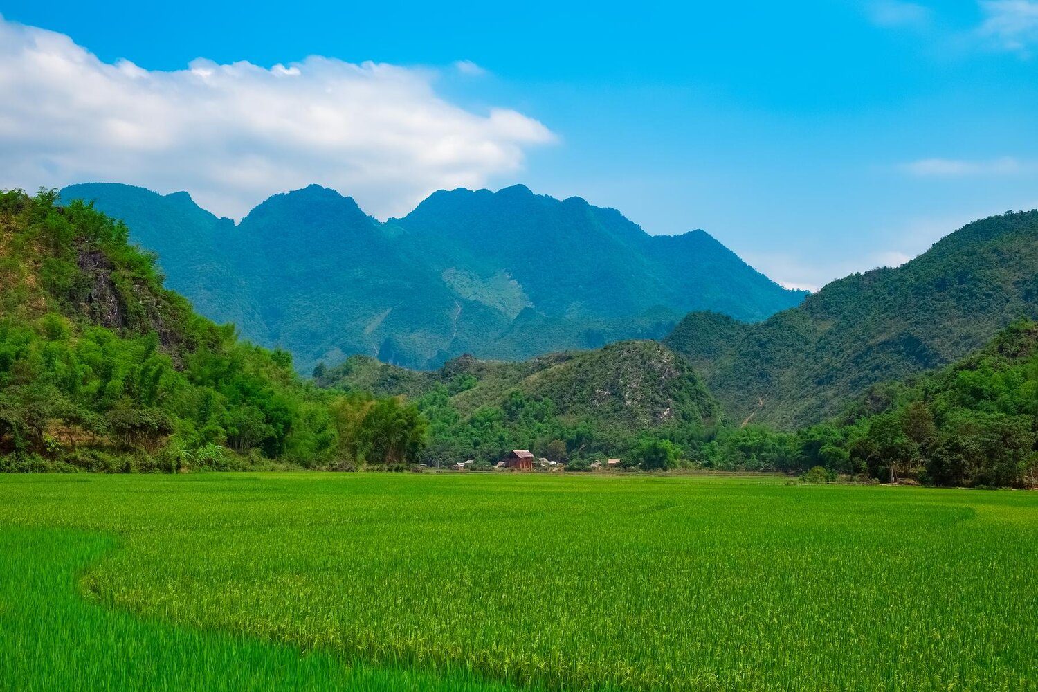 Hòa Bình - Mộc Châu - Điện Biên - Lai Châu - Fansipan - Sapa