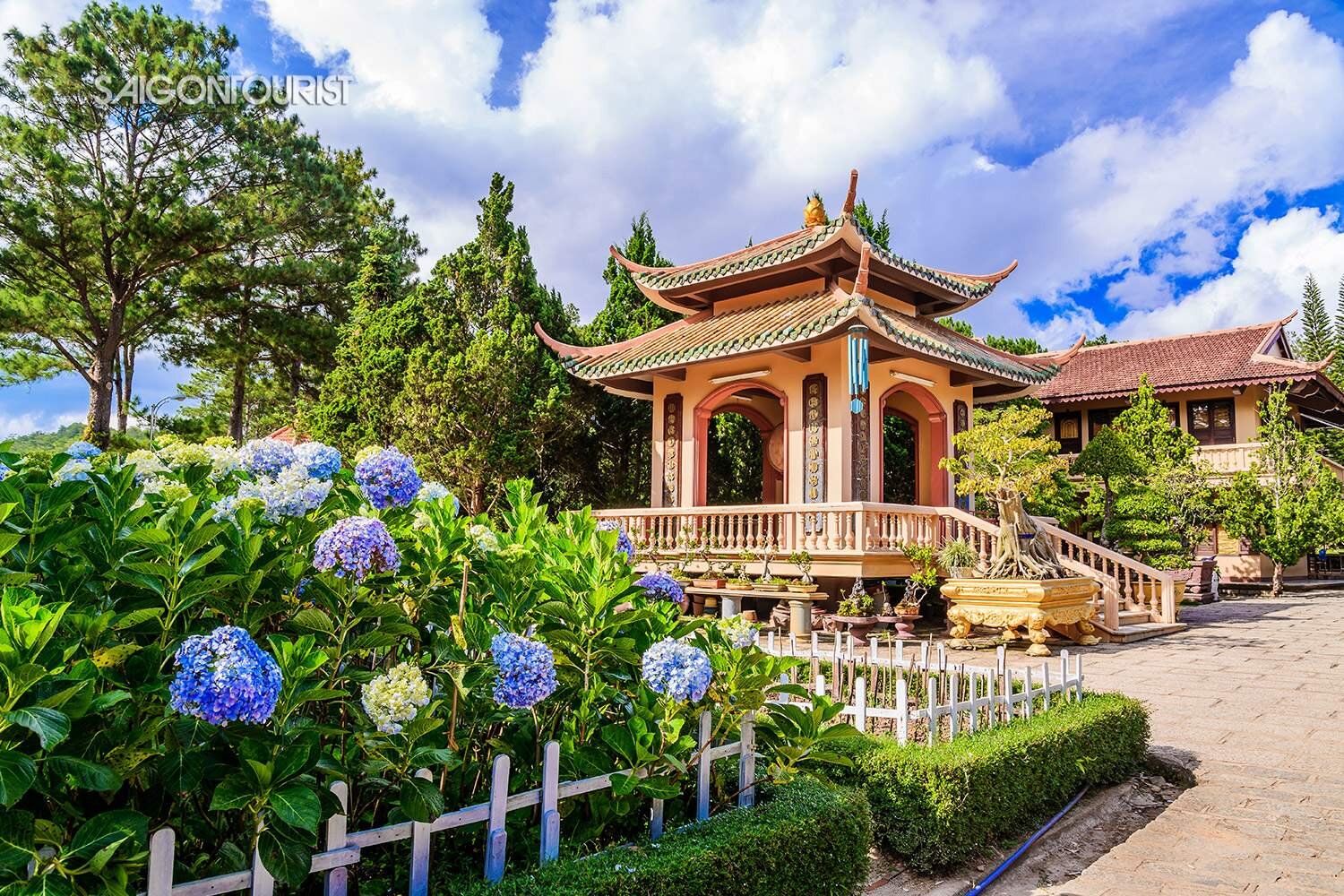 Dưỡng Sinh Đất Lành – Đà Lạt Mộng Mơ