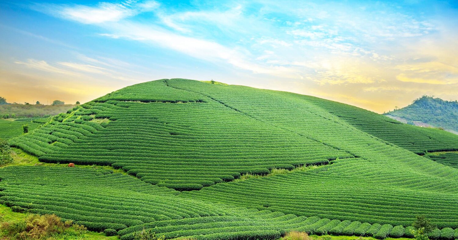 MỘC CHÂU - ĐIỆN BIÊN - LAI CHÂU - SAPA